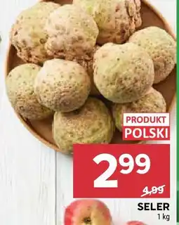 Stokrotka Seler Stokrotka oferta