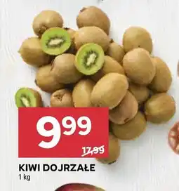 Stokrotka Kiwi do jrzałe Stokrotka oferta