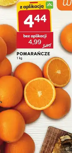 Stokrotka Pomarańcze Stokrotka oferta