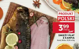 Stokrotka Świeży płat z karpia Koral, Mirko oferta