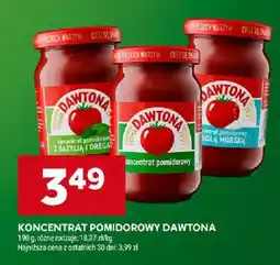 Stokrotka Koncentrat pomidorowy Dawtona oferta