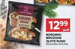 Stokrotka Borowiki mrożone Złote Runo kostka oferta