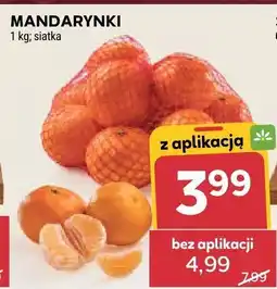 Stokrotka Mandarynki Stokrotka oferta