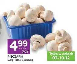 Stokrotka Pieczarki Stokrotka oferta