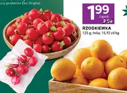 Stokrotka Pomarańcze Stokrotka oferta