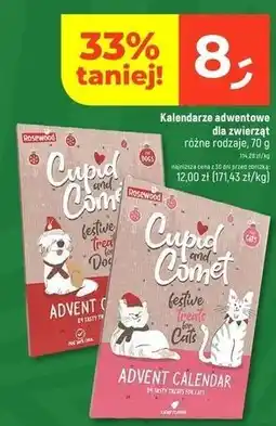 Dealz Kalendarz adwentowy dla psa oferta