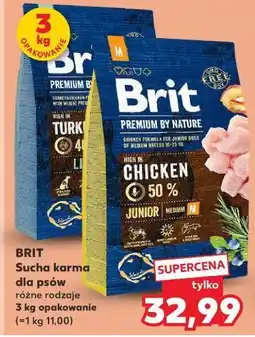 Kaufland Karma dla psa junior xl kurczak Brit Premium oferta