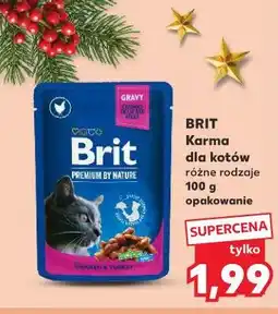 Kaufland Karma dla kota z łososiem Brit Premium oferta
