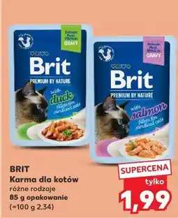 Kaufland Karma dla kota salmon Brit Premium By Nature oferta