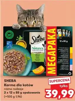 Kaufland Karma dla kota Sheba Nature's Collection oferta