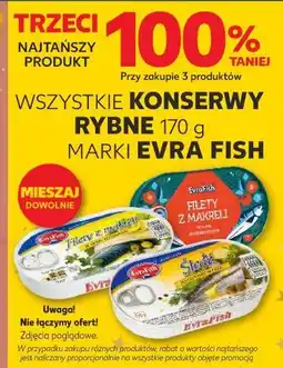 Kaufland Filety makreli w oleju Evrafish oferta