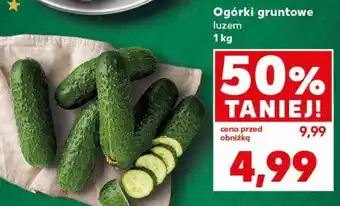 Kaufland Ogórek gruntowy oferta