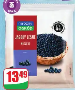 Dino Jagody leśne mrożone Mroźny Ogród oferta