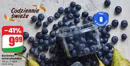 Dino Borówka amerykańska 300 g Dino oferta