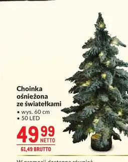Makro Choinka Netto oferta