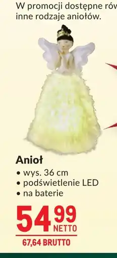 Makro Aniołek Netto oferta