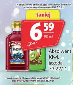 Prim Market Kiwi Absolwent oferta