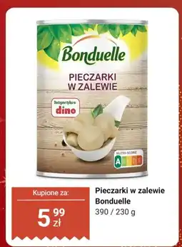 Dino Pieczarki w zalewie Bonduelle oferta