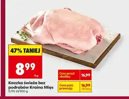 Biedronka Kaczka Kraina Mięs oferta