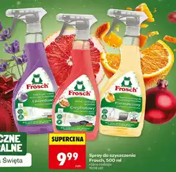 Biedronka Spray czyszczący Frosch oferta