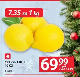 Selgros Cytryna oferta