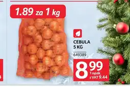 Selgros Cebula oferta