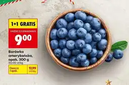 Biedronka Borówka amerykańska 300 g Biedronka oferta