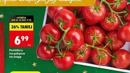 Biedronka Pomidory gałązka oferta