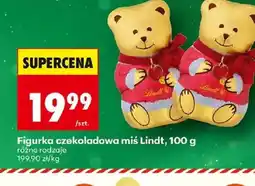 Biedronka Figurka czekoladowa miś Lindt oferta