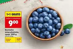 Biedronka Borówki amerykańskie oferta