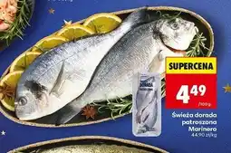 Biedronka Dorada patroszona świeża Marinero oferta