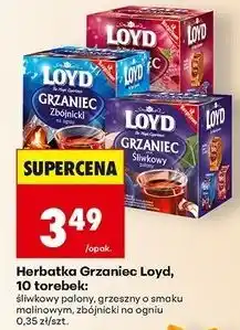 Biedronka Grzaniec grzeszny malinowy Loyd Tea oferta