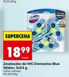 Biedronka Kostka do wc blue tropical sea Domestos Power5+ oferta
