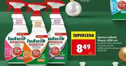Biedronka Odtłuszczacz Ludwik Maxx Power oferta