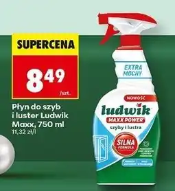 Biedronka Spray do szyb i luster Ludwik Maxx Power oferta