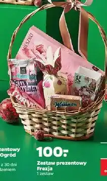Netto Zestaw prezentowy frezja oferta