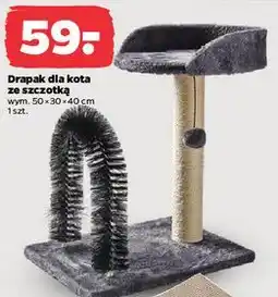 Netto Drapak dla kota ze szczotką oferta