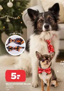 Netto Mucha lub krawat dla psa oferta