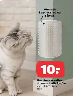 Netto Narożna szczotka do masażu dla kotów oferta