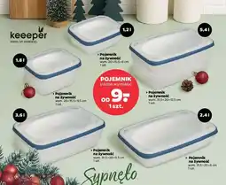 Netto POJEMNIK (różne wymiary) oferta