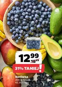 Netto Borówka 1opak. 300g oferta