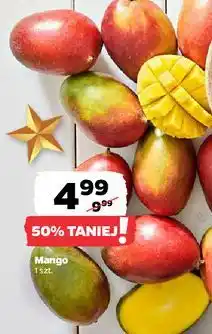 Netto Mango 1szt oferta