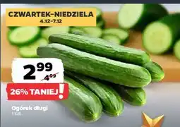 Netto Ogórek długi oferta