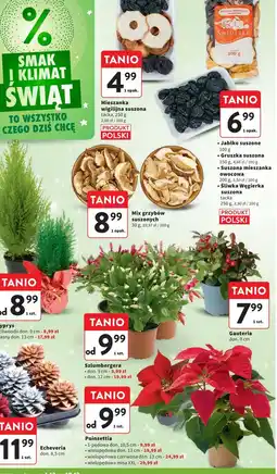 Intermarche Herbata na zdrowe gardło Big-Active Zioła Mnicha oferta
