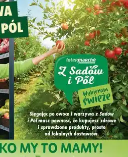Intermarche Jogurt owoce leśne Zott Jogobella oferta