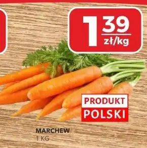 Społem Marchew Polski oferta