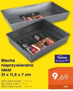 Patio Color Blacha Ideal oferta