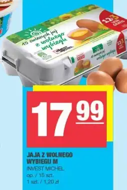 Spar Jaja Invest Michel oferta