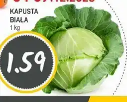 Słoneczko KAPUSTA oferta
