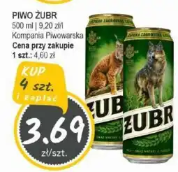 Słoneczko PIWO ZUBR oferta
